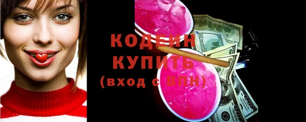 крисы Корсаков