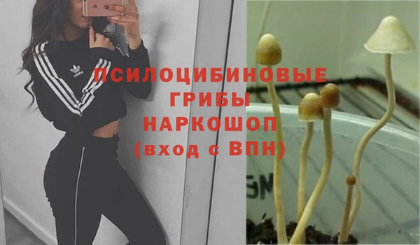 мяу мяу кристалл Козловка