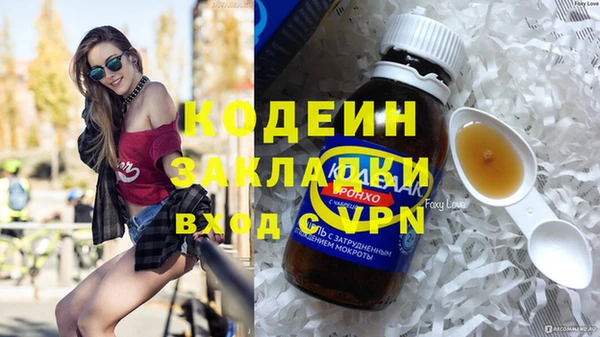 крисы Корсаков