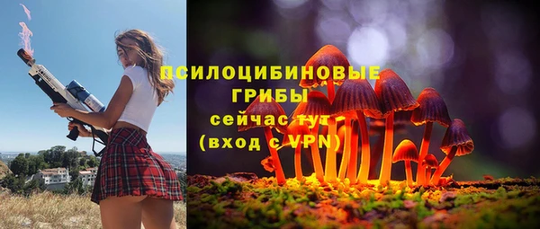 соль курить ск Кодинск