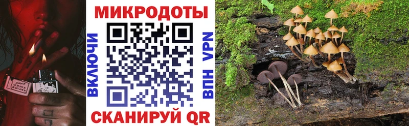 Псилоцибиновые грибы MAGIC MUSHROOMS  Ленинск-Кузнецкий 
