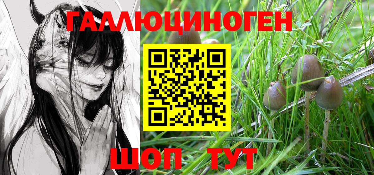 Ленинск-Кузнецкий  где можно купить   Вход с VPN  Псилоцибиновые грибы MAGIC MUSHROOMS 